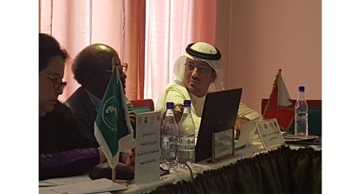 Khartoum Regional Meeting
Bahrain Culture Authority Participates in a workshop on “ Al Nakhla” ( the Palm Tree) as UNESCO Intangible Heritage Nomination File

 