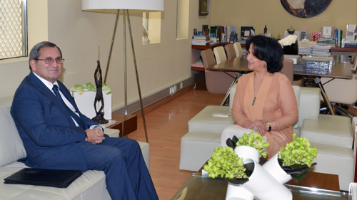 H.E Receives the Russian Ambassador, Future cultural cooperation discussed

