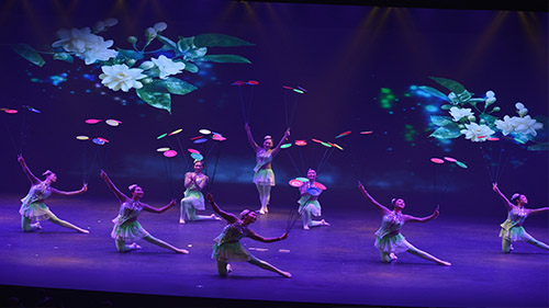 Exceptional “Guangxi Acrobatic Troupe” Show 