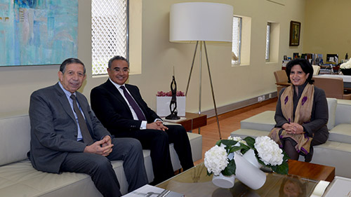 تأكيد مشترك على أهمية التراث الثقافي في تعزيز قيم السلام، معالي الشيخة مي تستقبل مدير المعهد الدولي للسلام في منطقة الشرق الأوسط وشمال أفريقيا