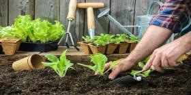 Home Farming for Beginners Workshop
