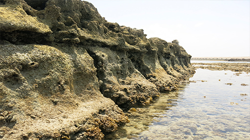Bahrain Culture Authority and &ldquo;Danat&rdquo; Institute Present, A lecture on &ldquo;Waters of Bahrain-Natural and Cultural Heritage&rdquo; at Qala&rsquo;at Al-Bahrain Site Museum


